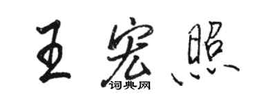 駱恆光王宏照行書個性簽名怎么寫
