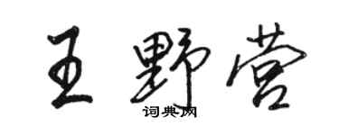 駱恆光王野營行書個性簽名怎么寫