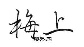 駱恆光梅上行書個性簽名怎么寫