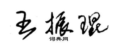 朱錫榮王振琨草書個性簽名怎么寫