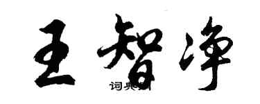 胡問遂王智淨行書個性簽名怎么寫