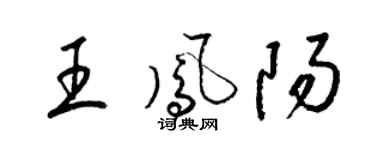 梁錦英王鳳陽草書個性簽名怎么寫