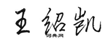 駱恆光王紹凱行書個性簽名怎么寫