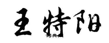 胡問遂王特陽行書個性簽名怎么寫