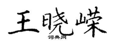 丁謙王曉嶸楷書個性簽名怎么寫