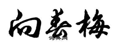 胡問遂向春梅行書個性簽名怎么寫