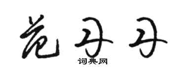 駱恆光范丹丹草書個性簽名怎么寫