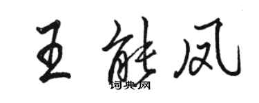 駱恆光王能鳳行書個性簽名怎么寫