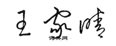 駱恆光王家晴草書個性簽名怎么寫