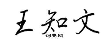 王正良王知文行書個性簽名怎么寫