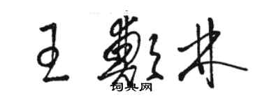 駱恆光王鄭林草書個性簽名怎么寫