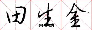 田生金怎么寫好看