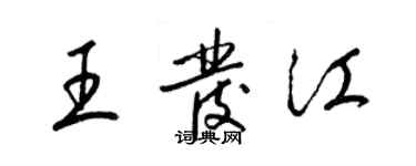 梁錦英王發江草書個性簽名怎么寫