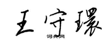 王正良王守環行書個性簽名怎么寫