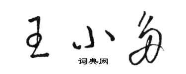 駱恆光王小多草書個性簽名怎么寫