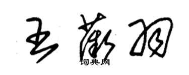 朱錫榮王薇羽草書個性簽名怎么寫