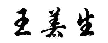 胡問遂王美生行書個性簽名怎么寫