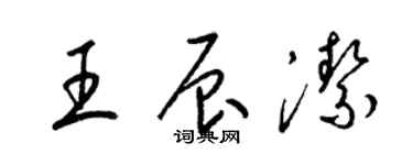 梁錦英王辰潔草書個性簽名怎么寫