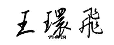 王正良王環飛行書個性簽名怎么寫