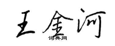 王正良王金河行書個性簽名怎么寫