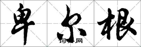 胡問遂卑爾根行書怎么寫