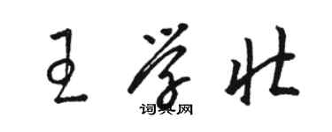 駱恆光王學壯草書個性簽名怎么寫