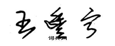 朱錫榮王豐寧草書個性簽名怎么寫