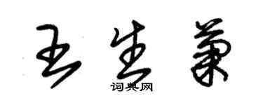 朱錫榮王生菊草書個性簽名怎么寫
