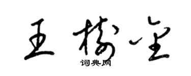 梁錦英王樹金草書個性簽名怎么寫