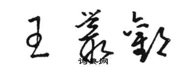 駱恆光王叢歡草書個性簽名怎么寫