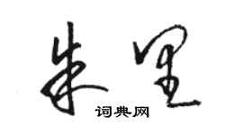 駱恆光朱里草書個性簽名怎么寫