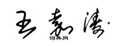 朱錫榮王嘉濤草書個性簽名怎么寫