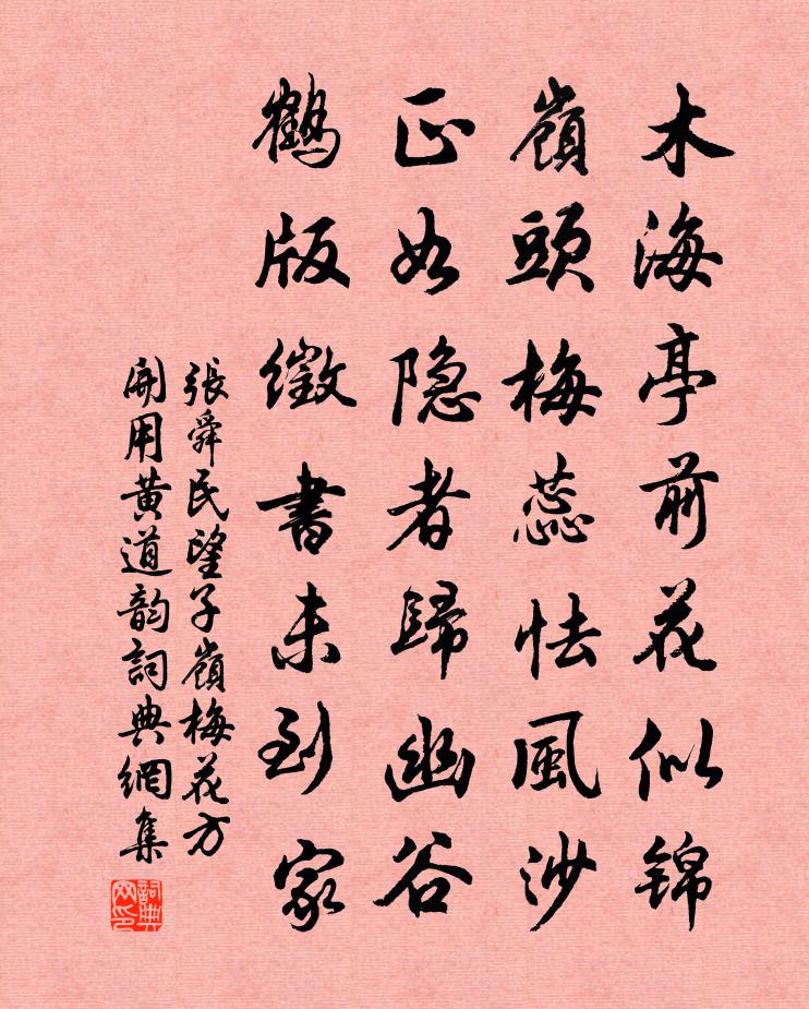 張舜民望子嶺梅花方開用黃道韻書法作品欣賞