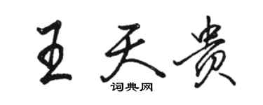 駱恆光王天貴行書個性簽名怎么寫