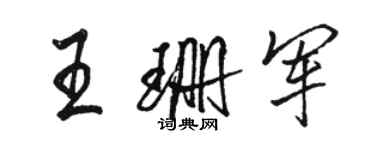 駱恆光王珊軍行書個性簽名怎么寫