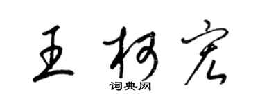 梁錦英王柯宏草書個性簽名怎么寫