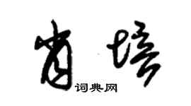 朱錫榮肖培草書個性簽名怎么寫