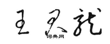 駱恆光王君龍草書個性簽名怎么寫