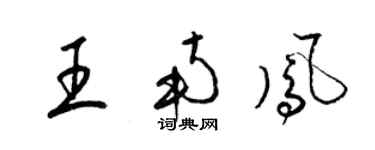 梁錦英王南鳳草書個性簽名怎么寫