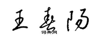 梁錦英王春陽草書個性簽名怎么寫