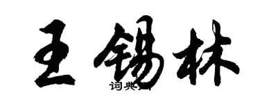 胡問遂王錫林行書個性簽名怎么寫