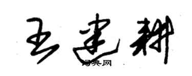 朱錫榮王建耕草書個性簽名怎么寫