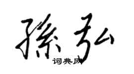 王正良孫弘行書個性簽名怎么寫