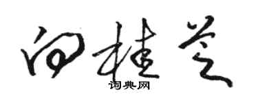 駱恆光向桂芝草書個性簽名怎么寫