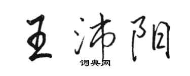 駱恆光王沛陽行書個性簽名怎么寫