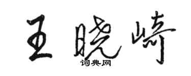 駱恆光王曉崎行書個性簽名怎么寫