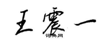 王正良王震一行書個性簽名怎么寫