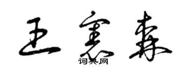 曾慶福王憲森草書個性簽名怎么寫