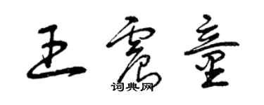 曾慶福王震童草書個性簽名怎么寫