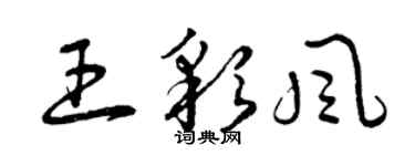 曾慶福王彩風草書個性簽名怎么寫